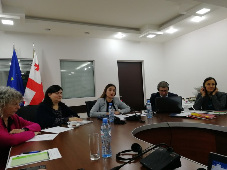 17 January 2018 | Georgia: Meeting of the National Implementation Team 