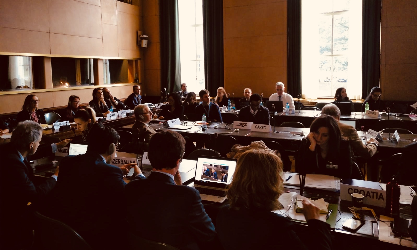 29-31 January 2019 | 24th session of the UNECE Committee on Environmental Policy (CEP)
